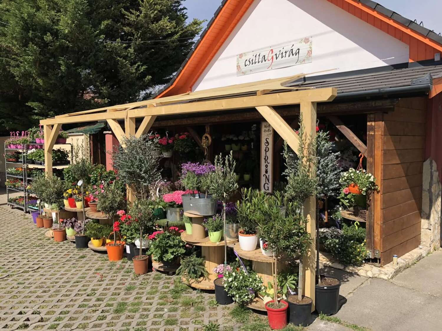 A CsillaGvirág üzlete Jászberényben, fa pergolával és a bejárat előtt sorakozó cserepes növényekkel.